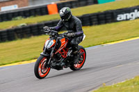 PJ-Motorsport-2019;anglesey-no-limits-trackday;anglesey-photographs;anglesey-trackday-photographs;enduro-digital-images;event-digital-images;eventdigitalimages;no-limits-trackdays;peter-wileman-photography;racing-digital-images;trac-mon;trackday-digital-images;trackday-photos;ty-croes